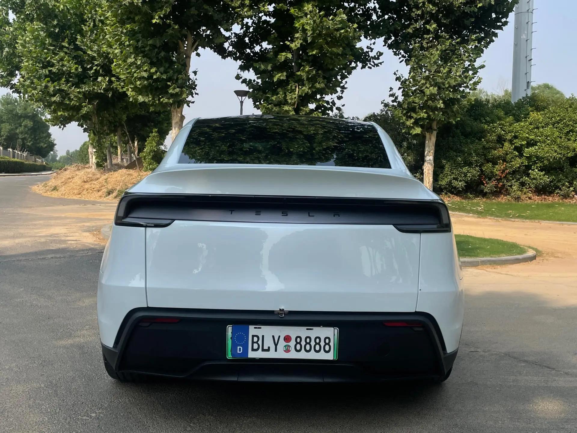 Tesla 2026 Model Y long endurance rear wheel drive version automatic transmission 10