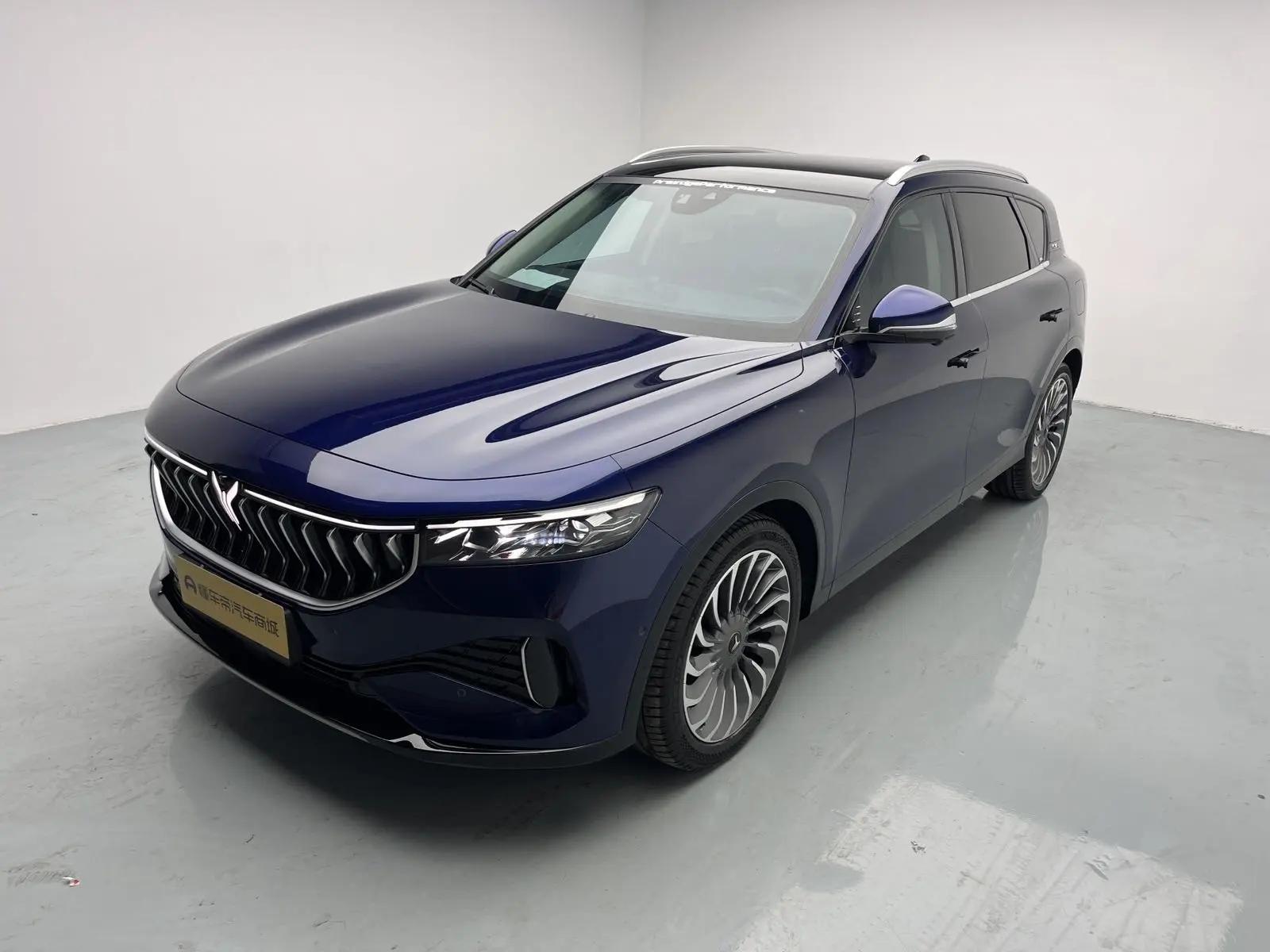 Voyah FREE 2021 Four-wheel Drive Range-extended First Commemorative Edition