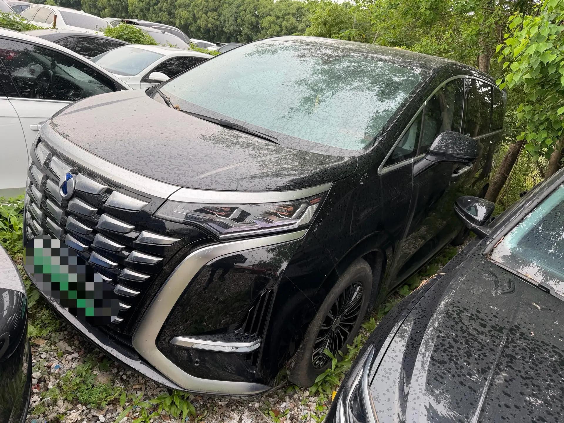 Denza D9 2022 DM-i 970 4-wheel drive Honor Model