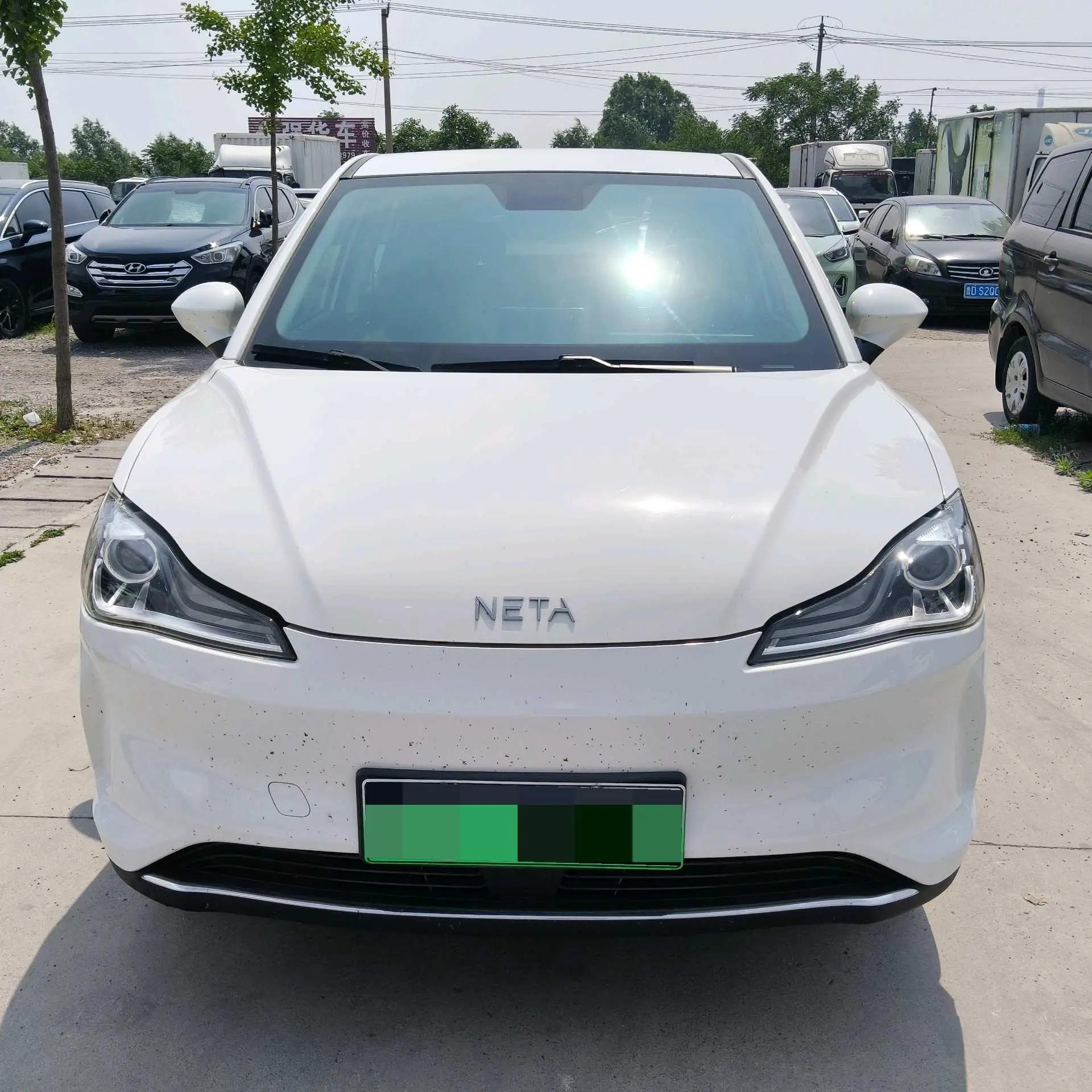 Neta V 2022 Standard Endurance Industry Custom Edition 3
