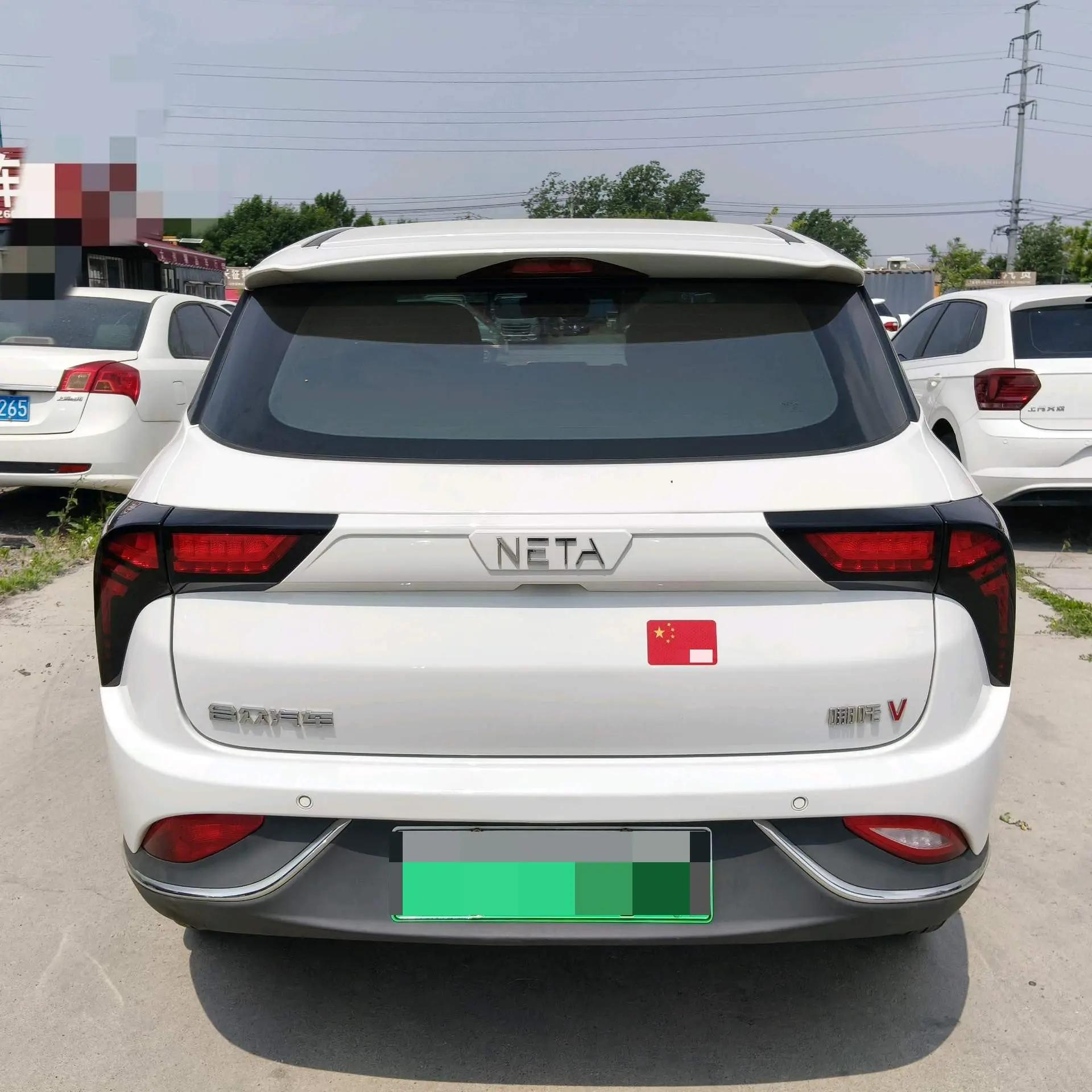 Neta V 2022 Standard Endurance Industry Custom Edition 4