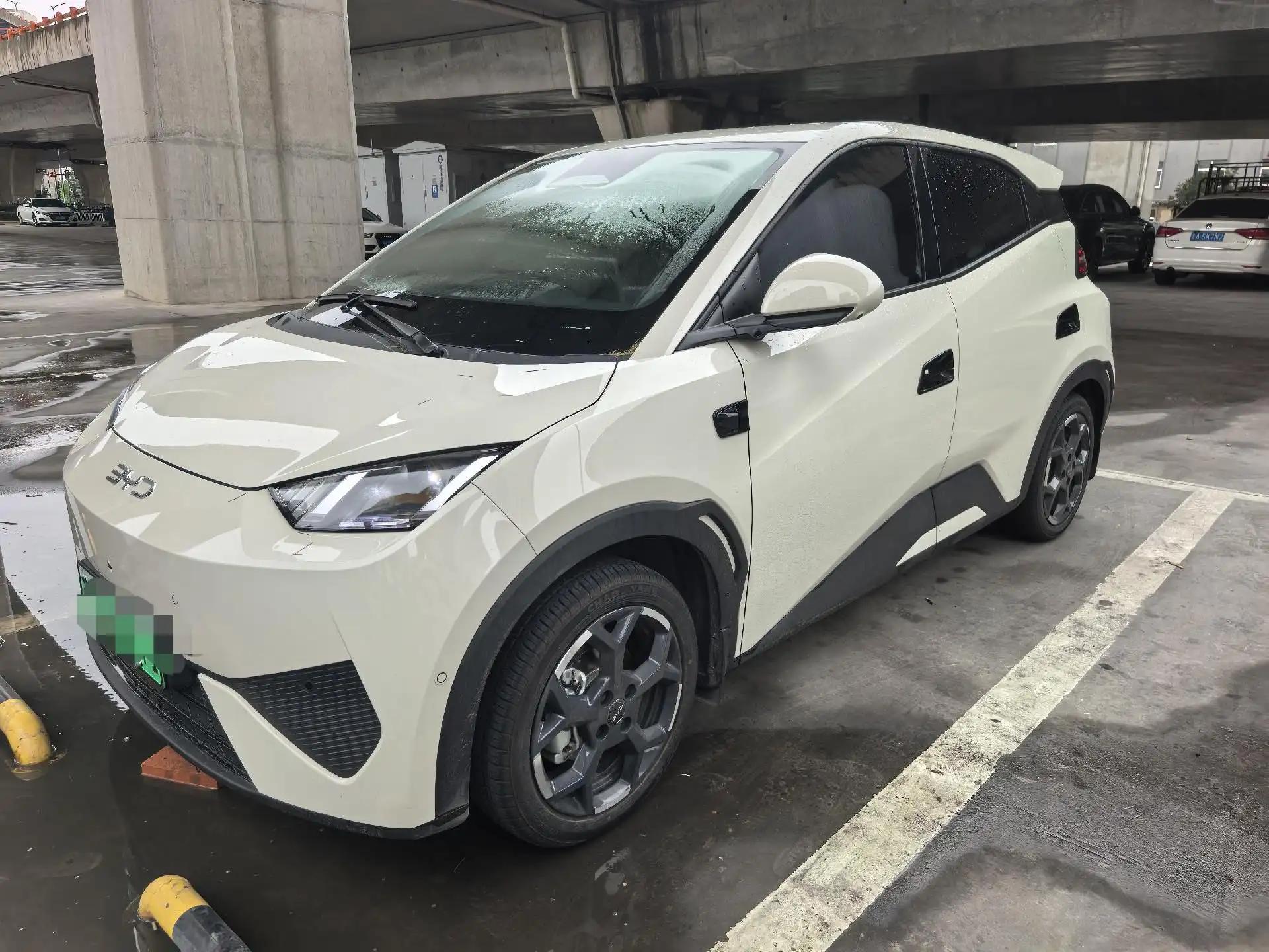 BYD 2025 Seagull Intelligent Driving Version 305km Free Edition Automatic