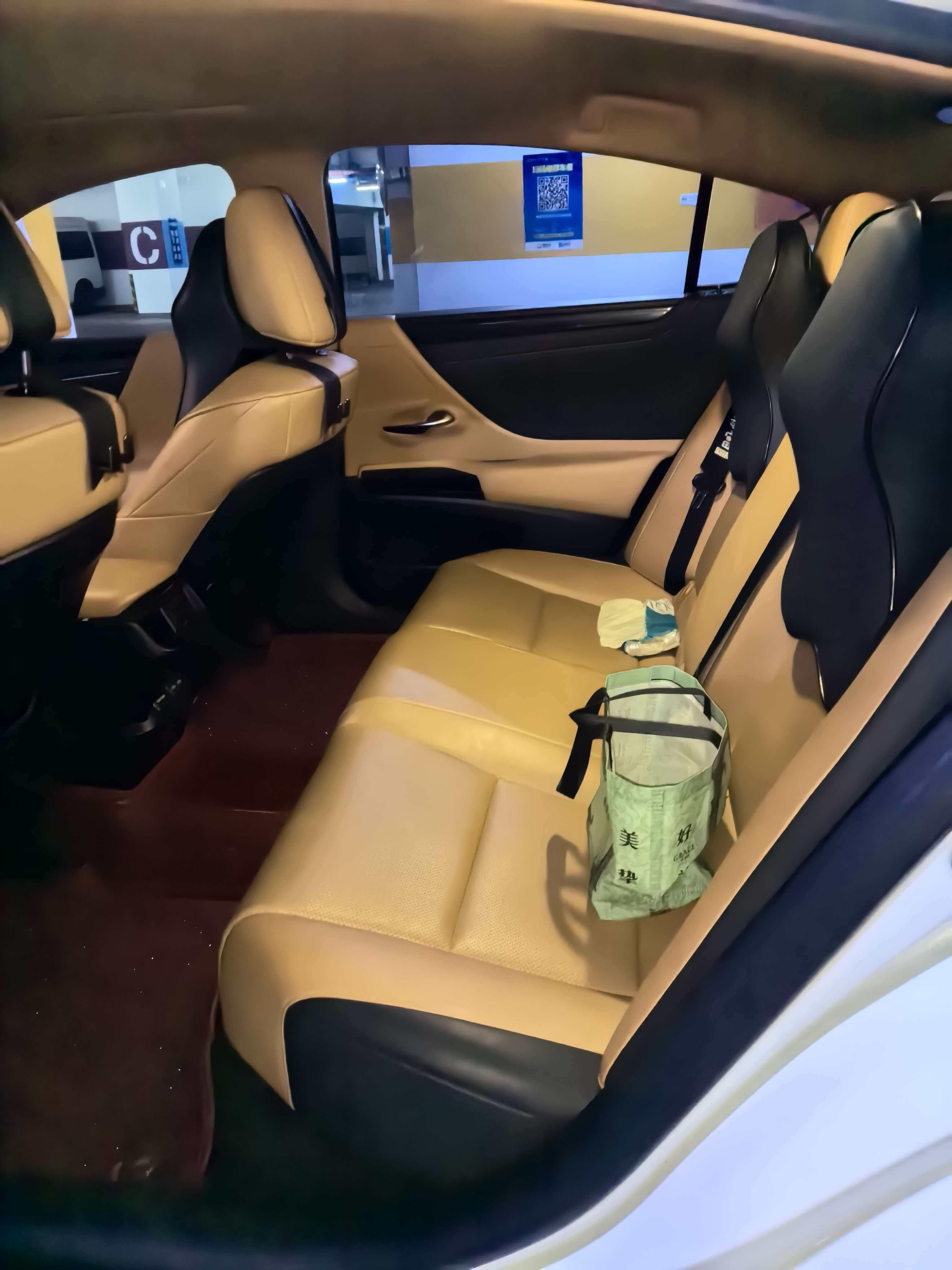 Lexus ES 2023 260 Excellence Edition 8