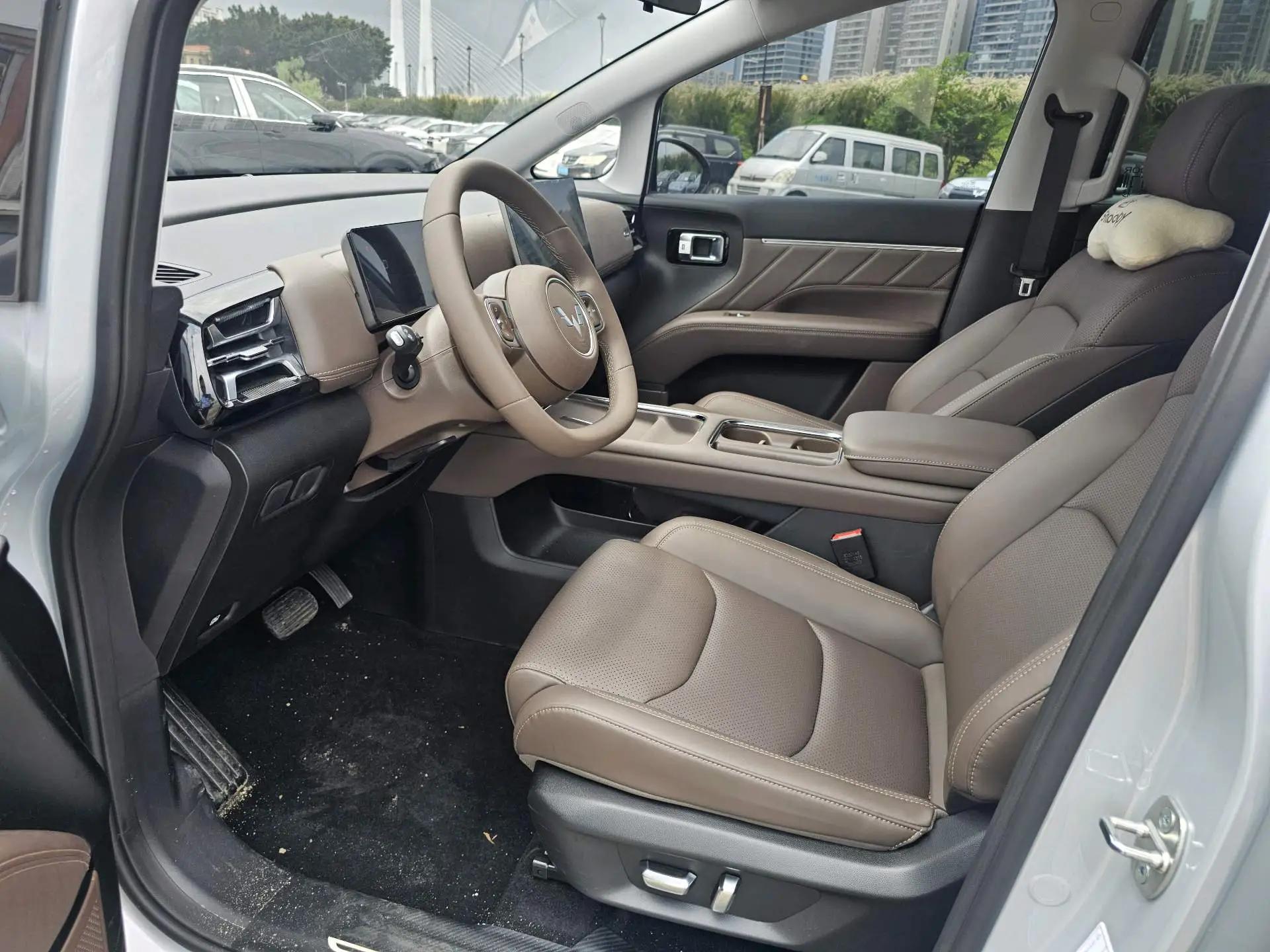 Starlight 730 New Energy 2025 Pure Electricity 500km Luxury Model 5