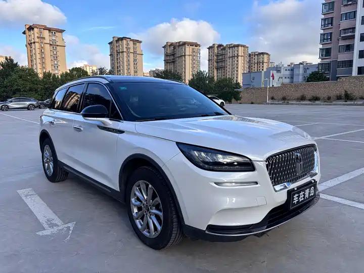 Adventurer 2020 2.0T Two-Drive Zunyue Edition 2
