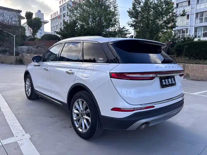 Adventurer 2020 2.0T Two-Drive Zunyue Edition 4