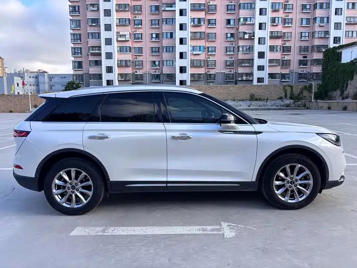 Adventurer 2020 2.0T Two-Drive Zunyue Edition 6