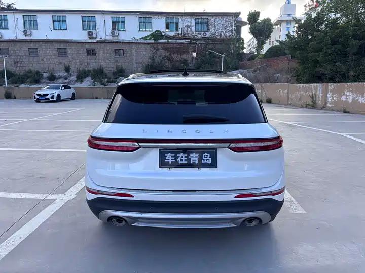 Adventurer 2020 2.0T Two-Drive Zunyue Edition 7