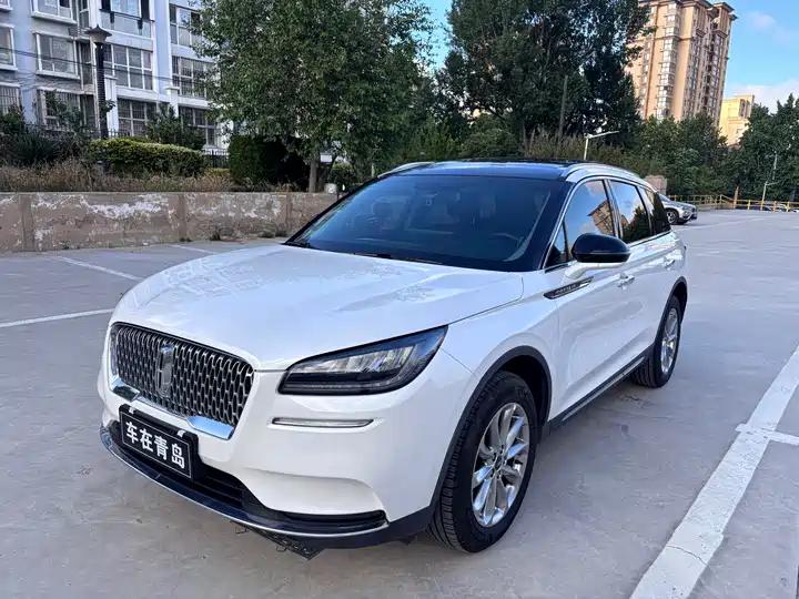 Adventurer 2020 2.0T Two-Drive Zunyue Edition 8