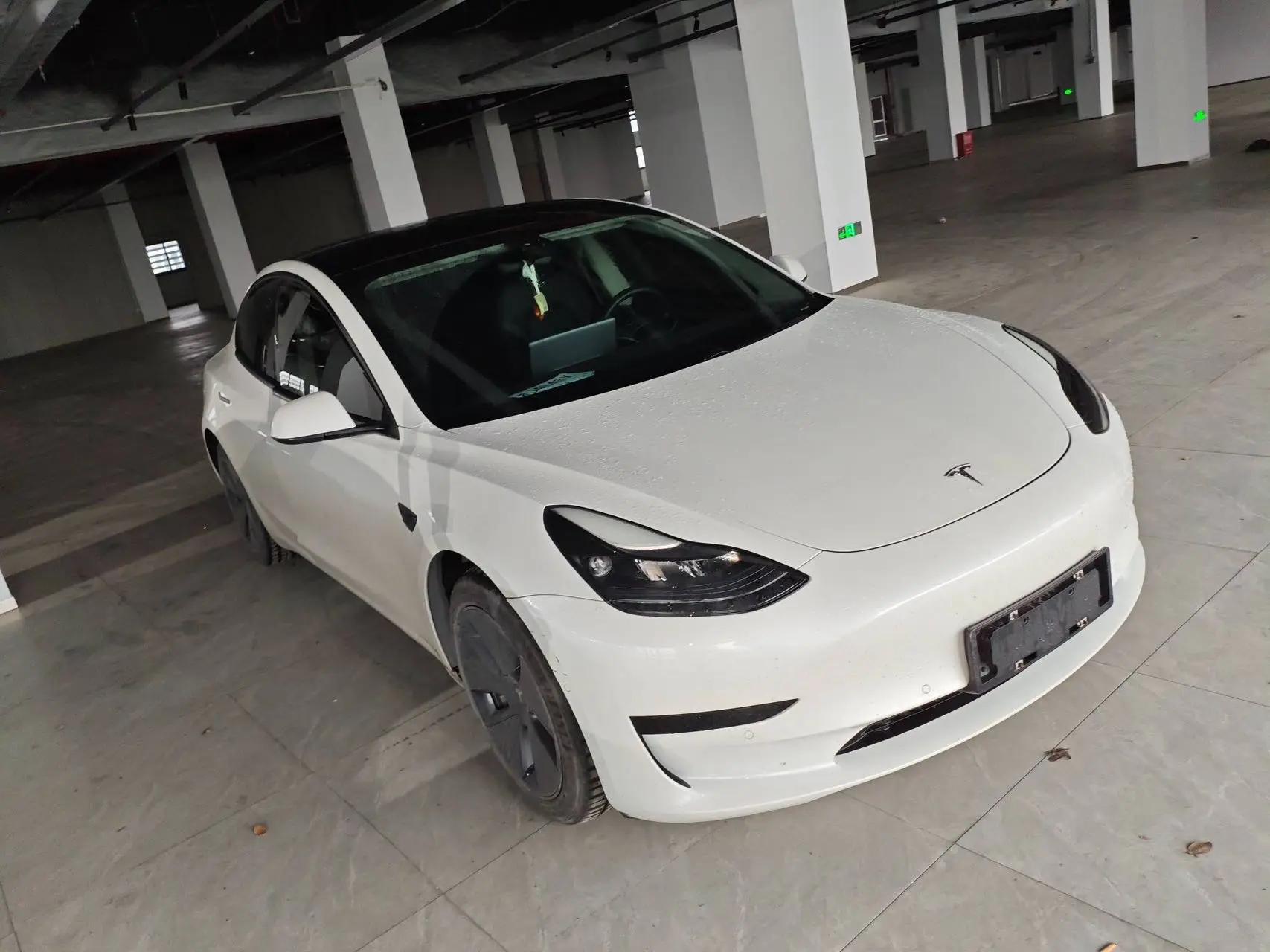 Model 3 2021 model facelift standard endurance rear drive upgrade 3D1 2