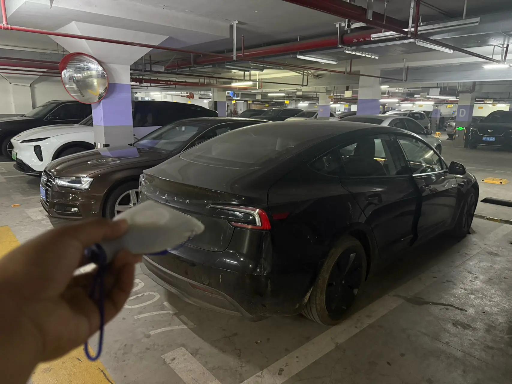 Tesla 2025 Model 3 Rear-Wheel Drive Automatic 9