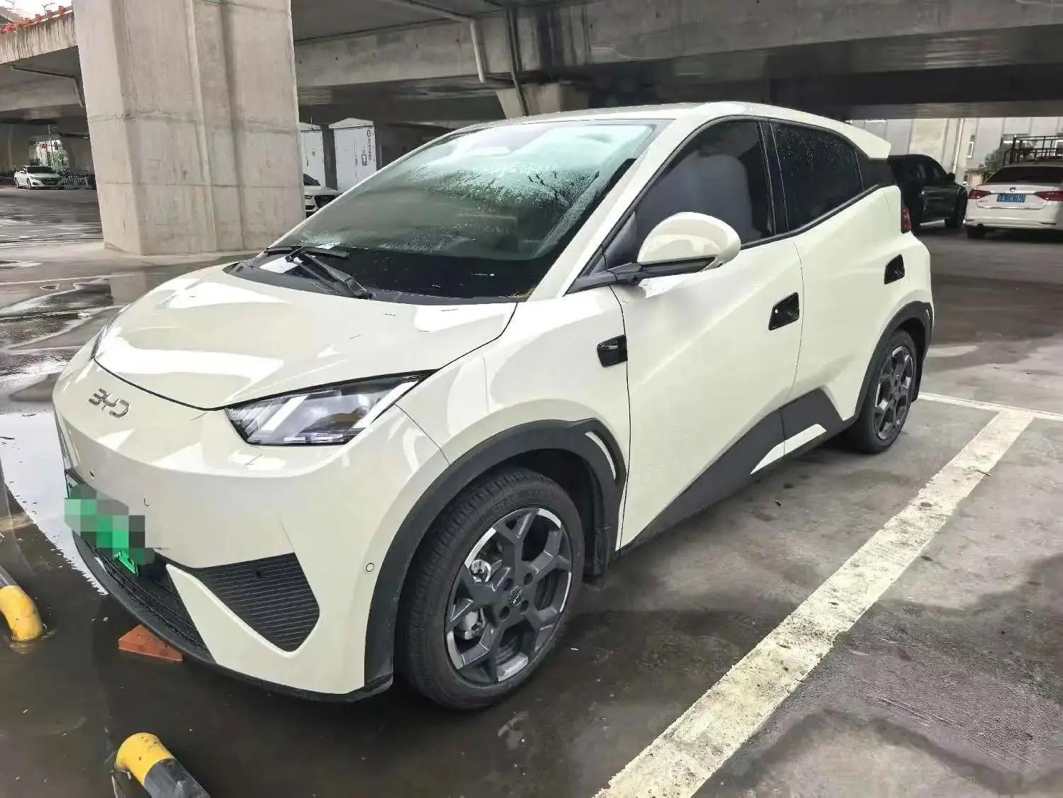 BYD 2025 Seagull Intelligent Driving Version 305km Free Edition Automatic