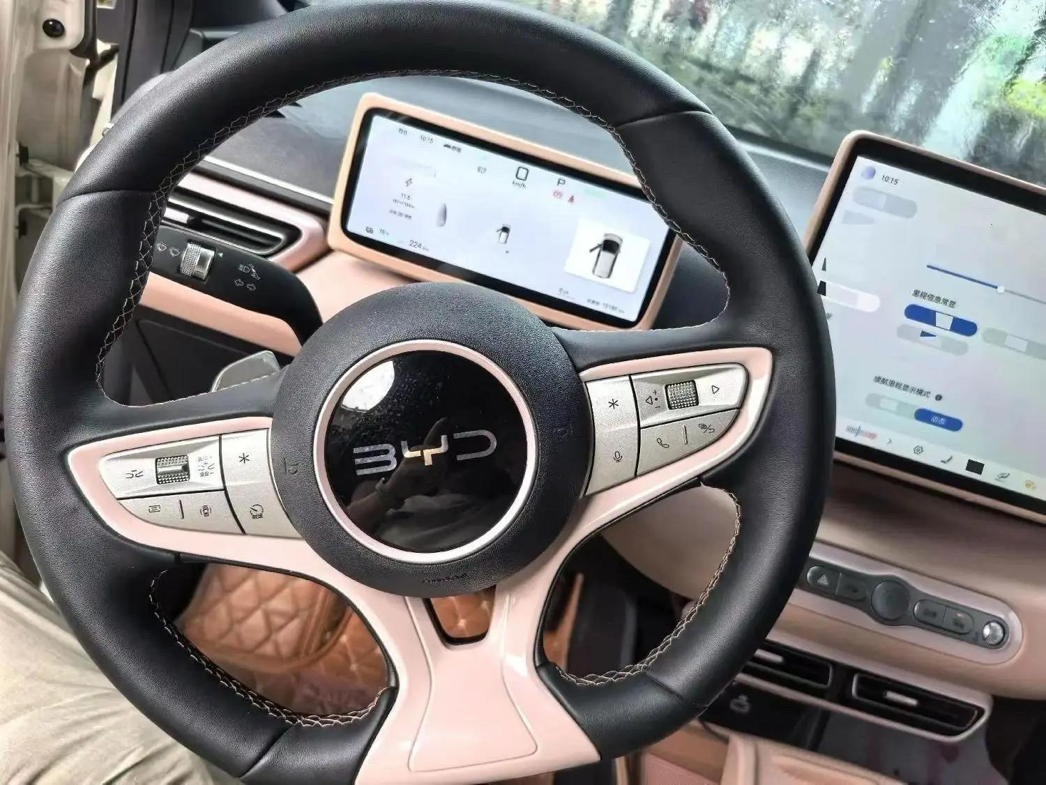 BYD 2025 Seagull Intelligent Driving Version 305km Free Edition Automatic 5