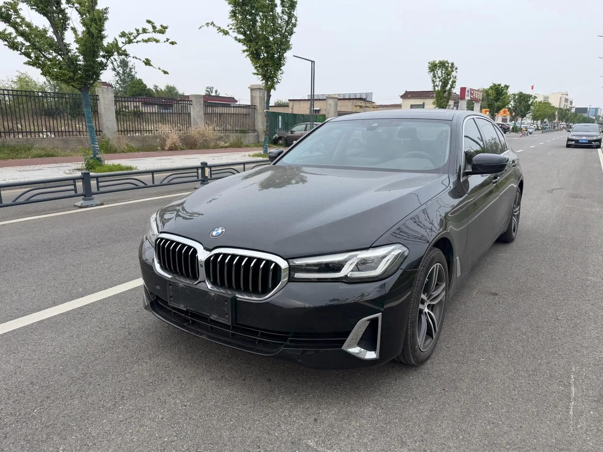 BMW 5 Series 2021 530Li Leading Luxury Suit