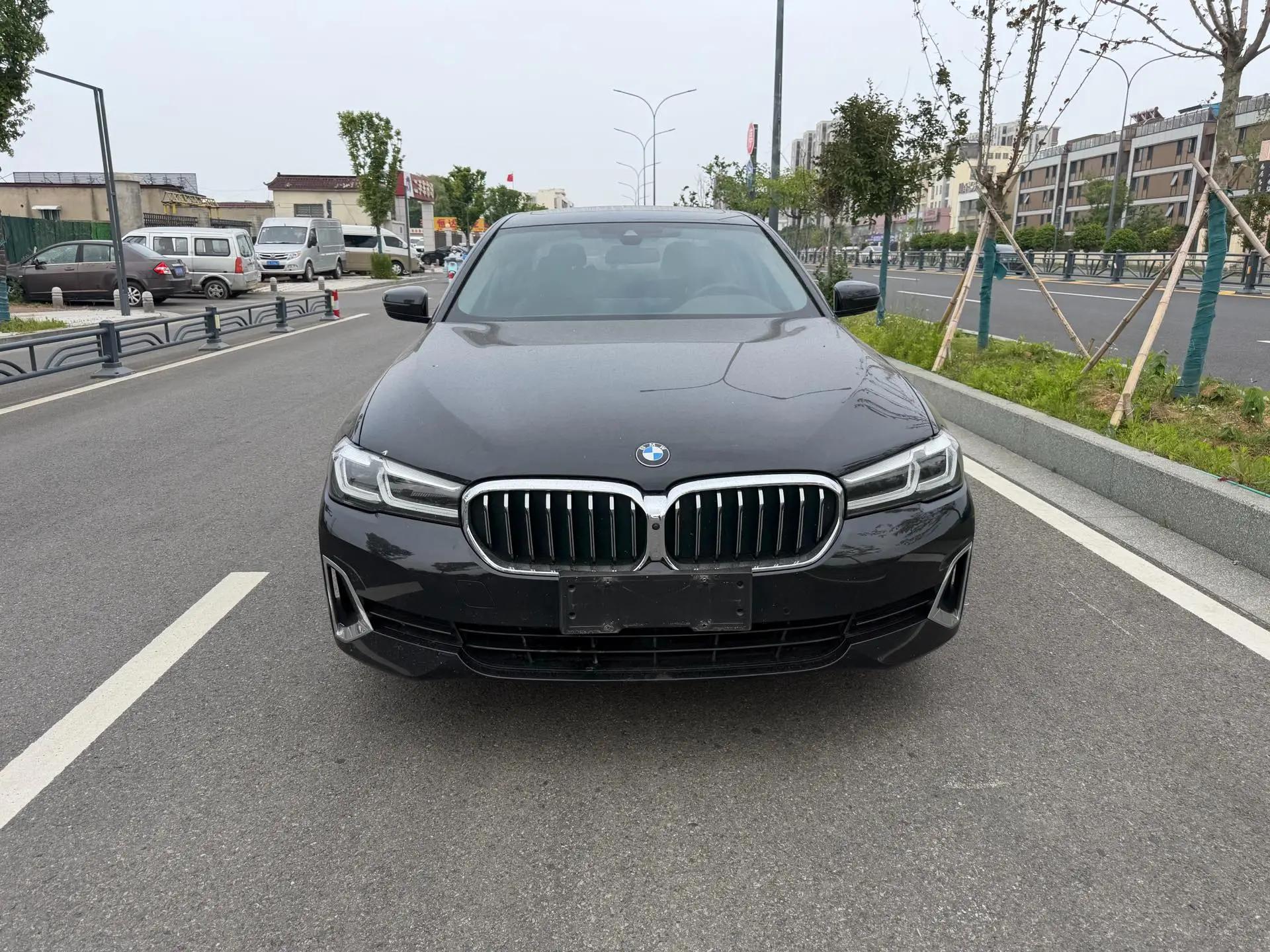 BMW 5 Series 2021 530Li Leading Luxury Suit 2