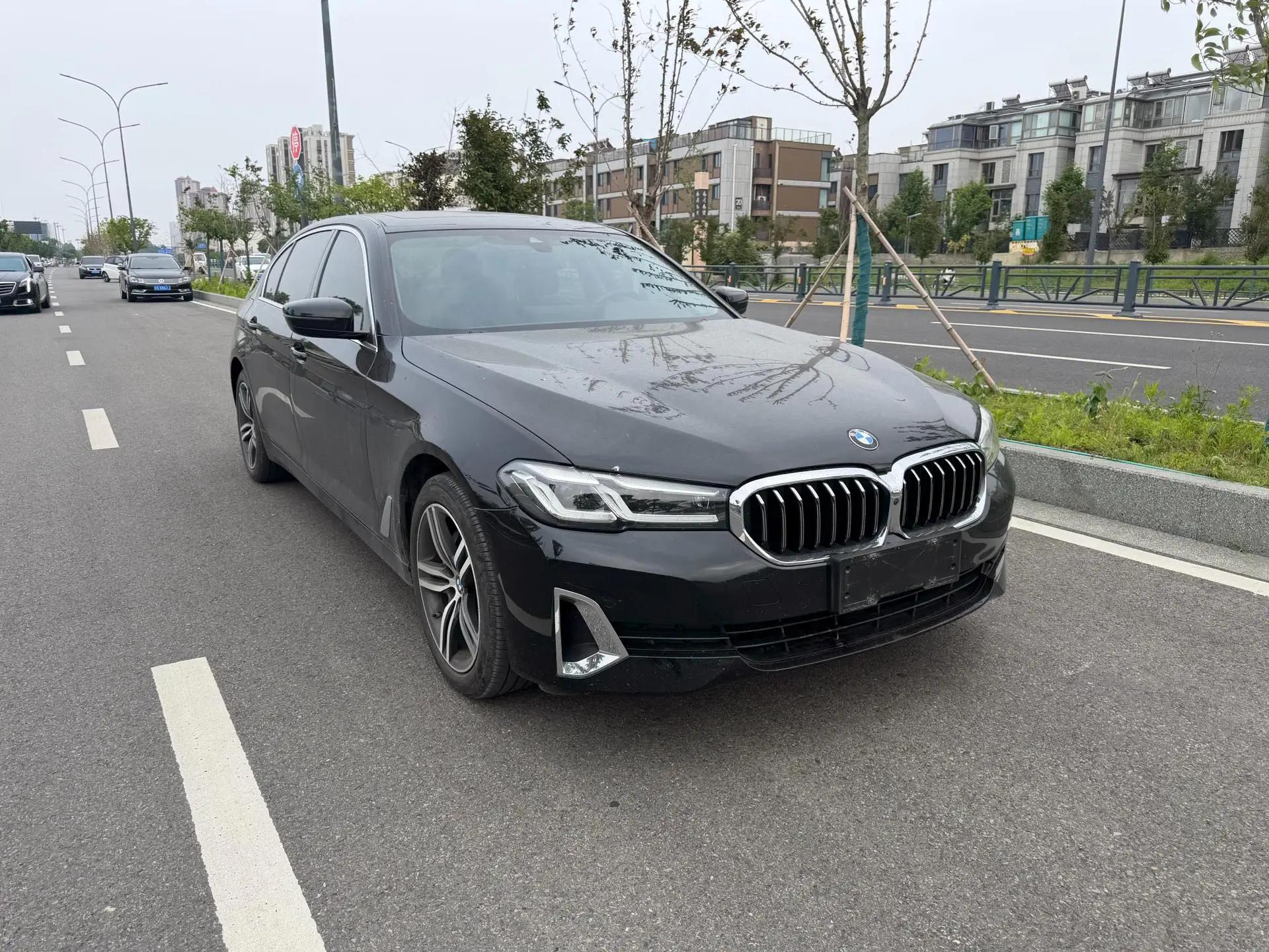 BMW 5 Series 2021 530Li Leading Luxury Suit 3