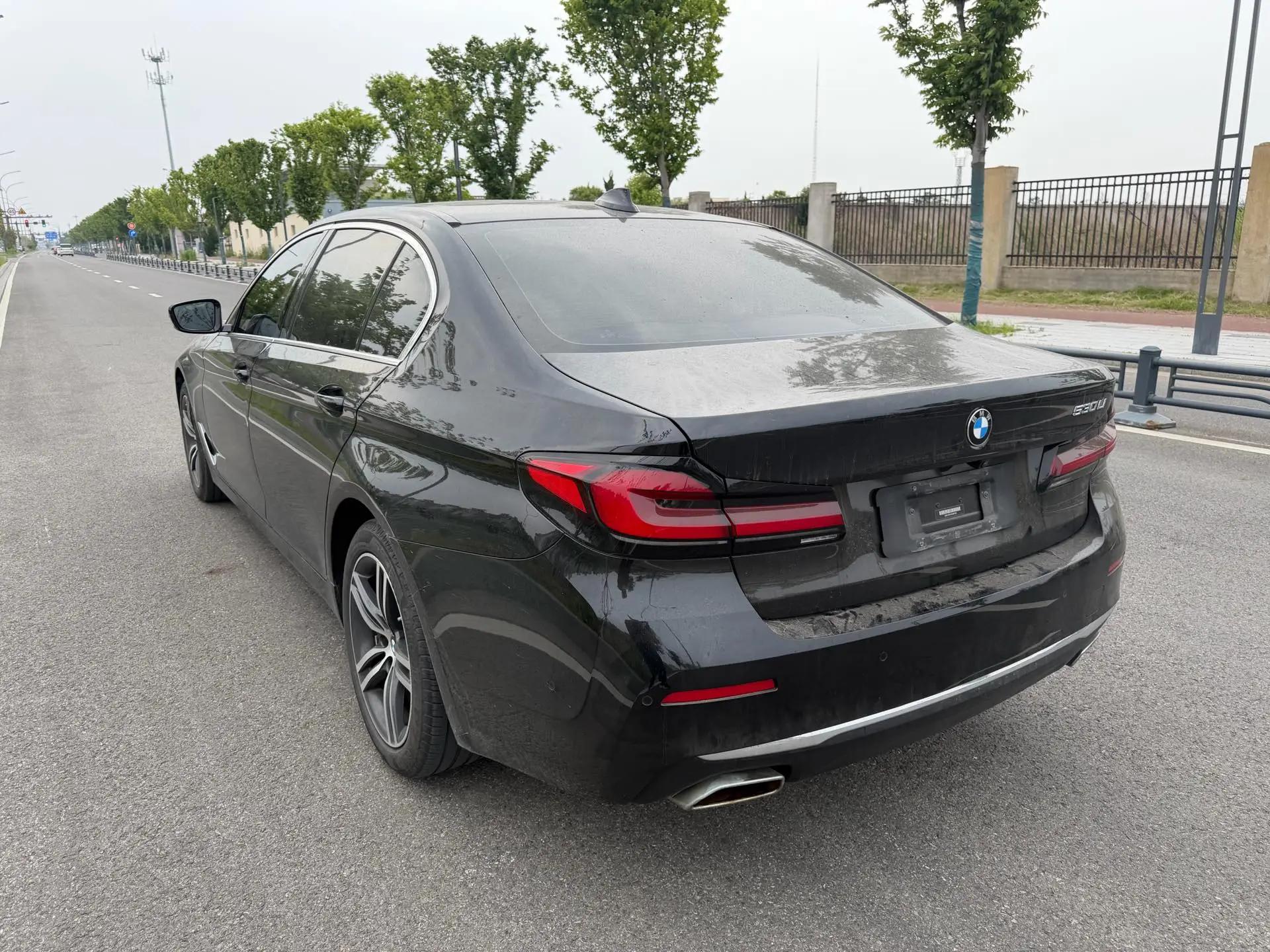 BMW 5 Series 2021 530Li Leading Luxury Suit 7