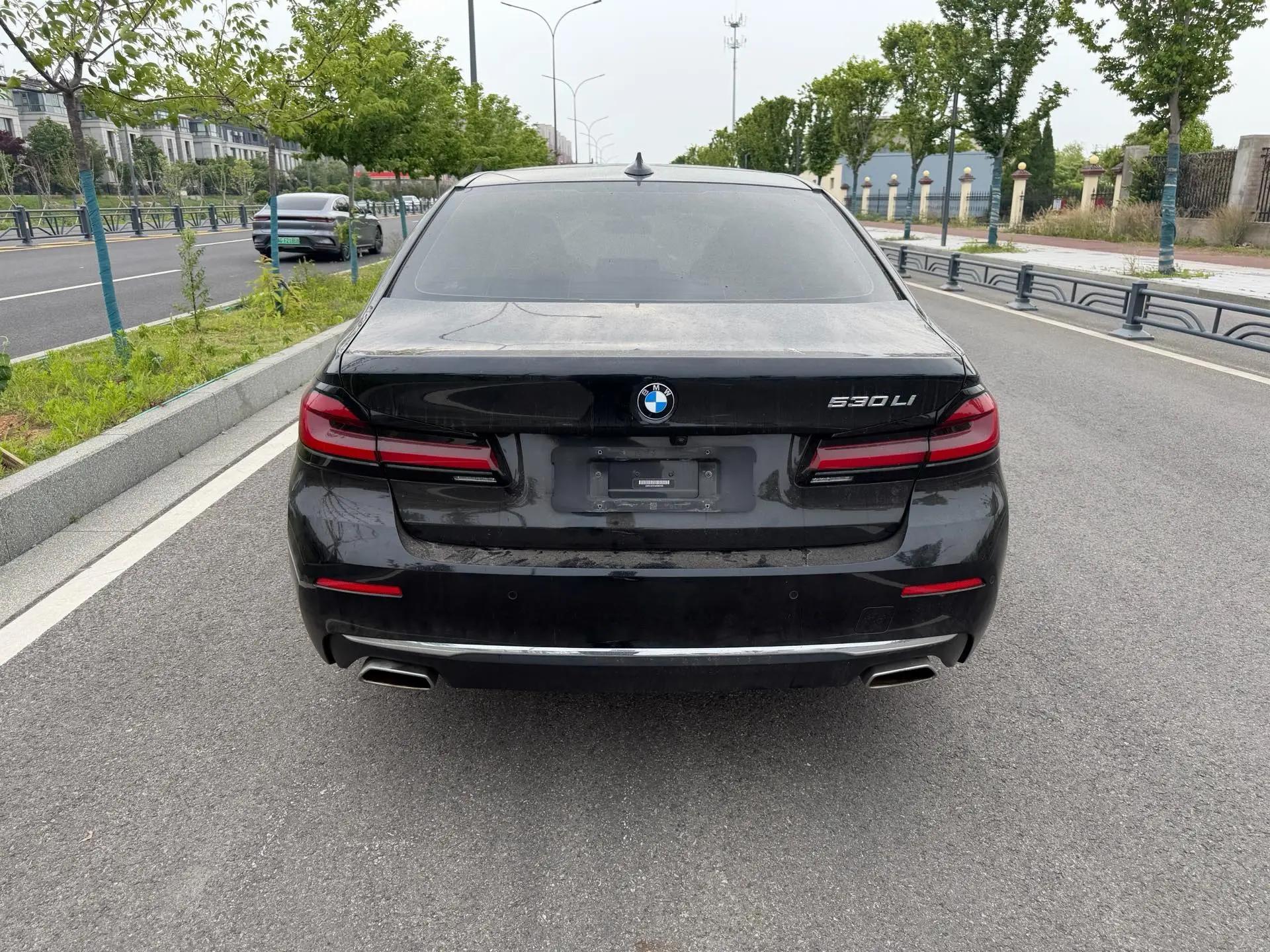 BMW 5 Series 2021 530Li Leading Luxury Suit 8