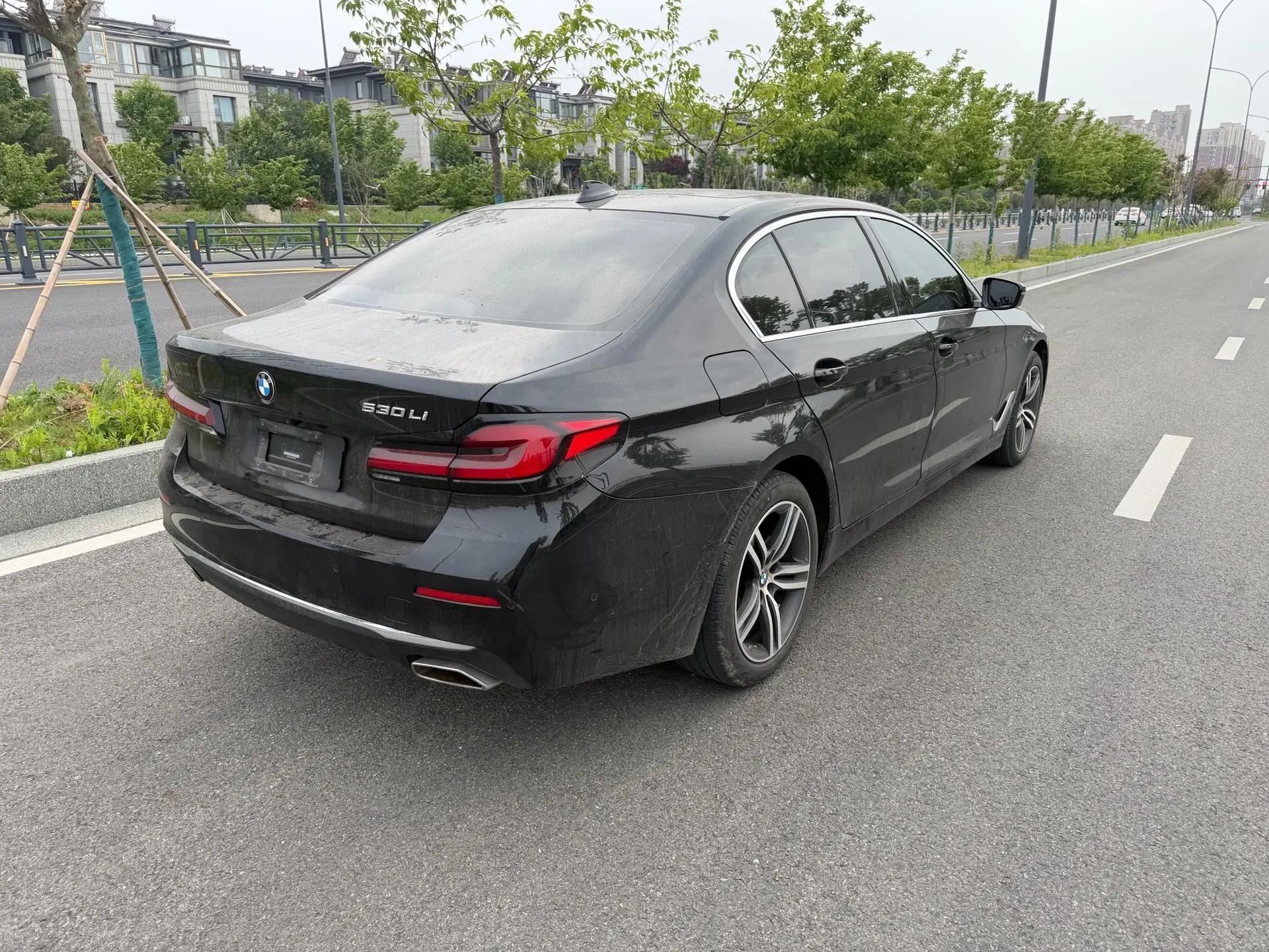 BMW 5 Series 2021 530Li Leading Luxury Suit 9