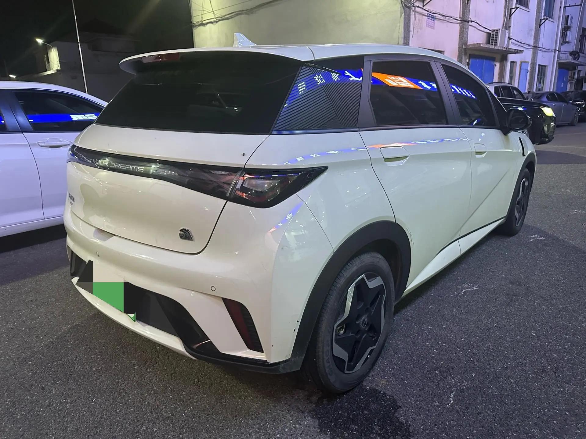 BYD 2023 Dolphin 420km Fashion Edition Automatic 4