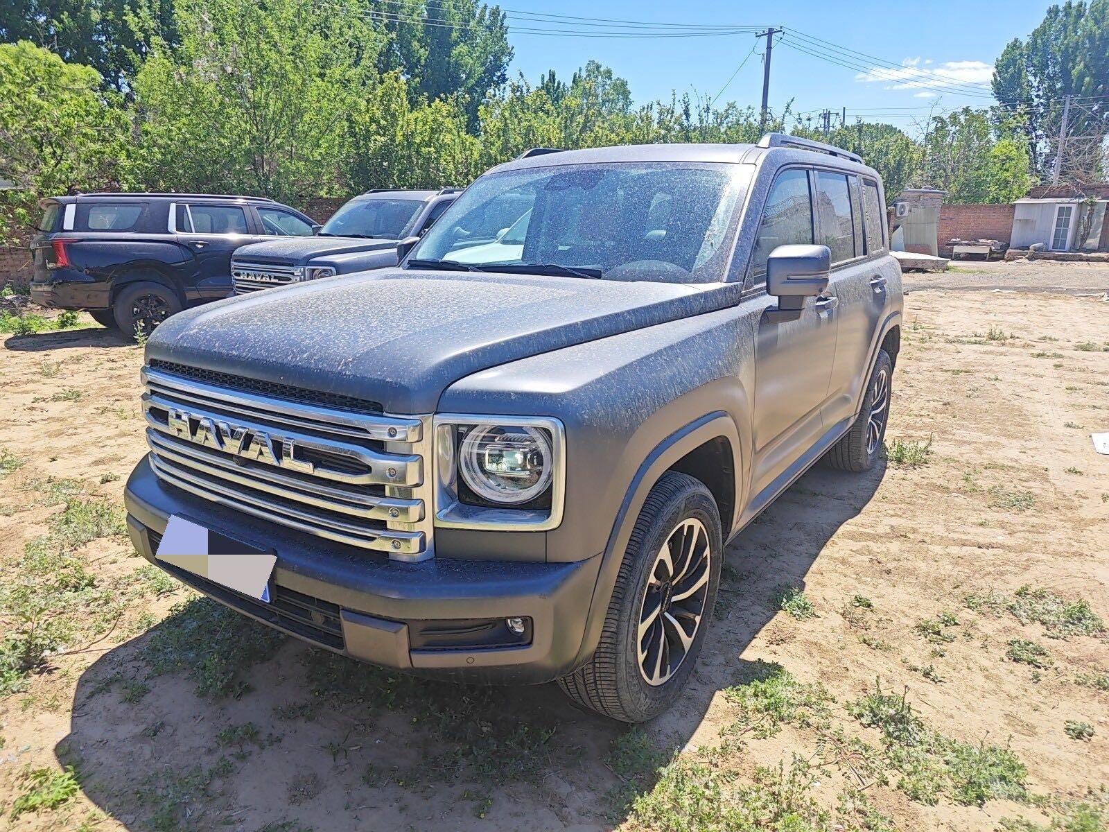 Haval 2024 H9 2.0T Four-Wheel Drive Extreme Edition Automatic