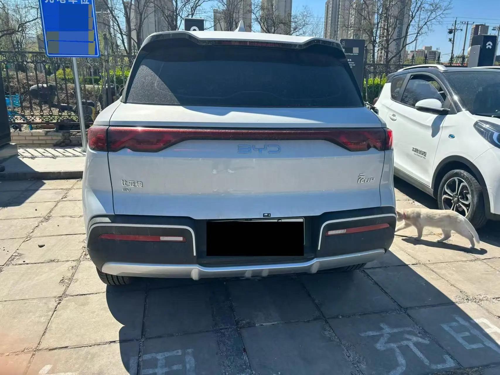 BYD 2025 Yuan UP 301KM Pilot Automatic Gear 3