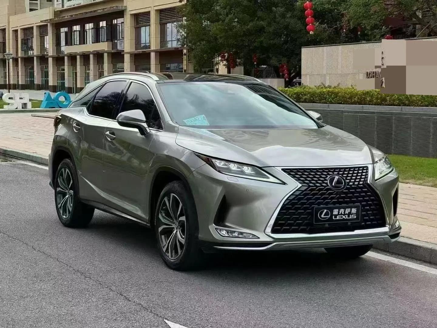 Lexus RX 2020 300 four-wheel drive elegant version of the national v 2