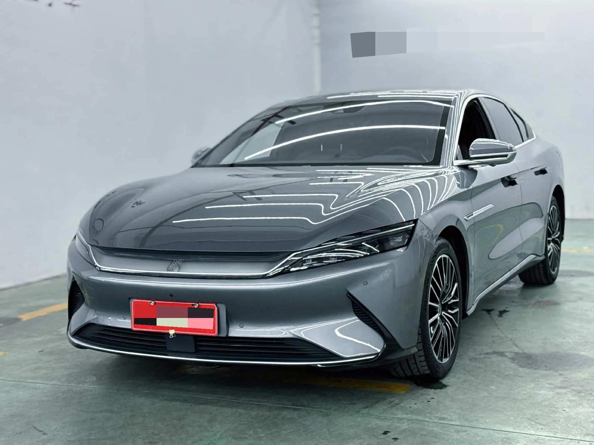 Han 2021 EV Standard Endurance Luxury Model