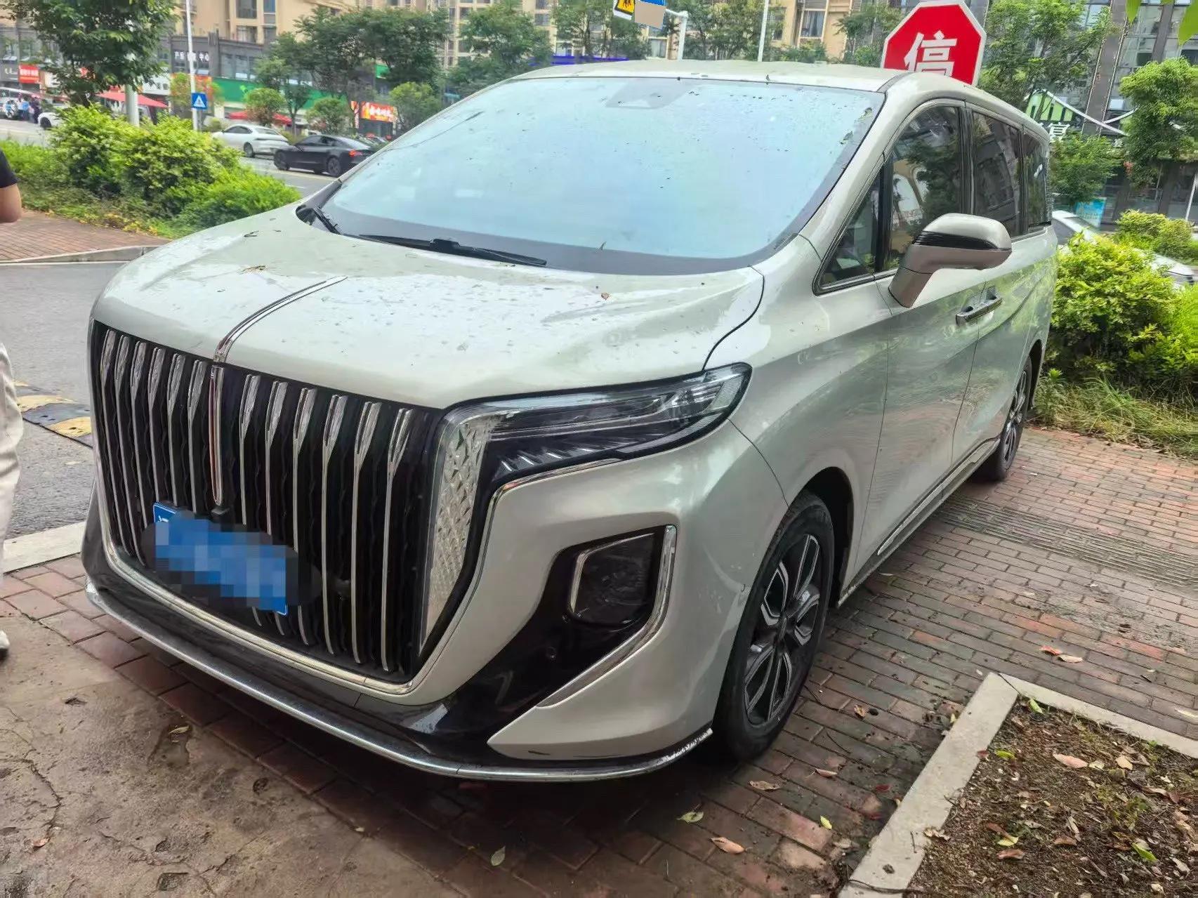 HongQi HQ9 2023 2.0T Zhilian Flag Collar Edition