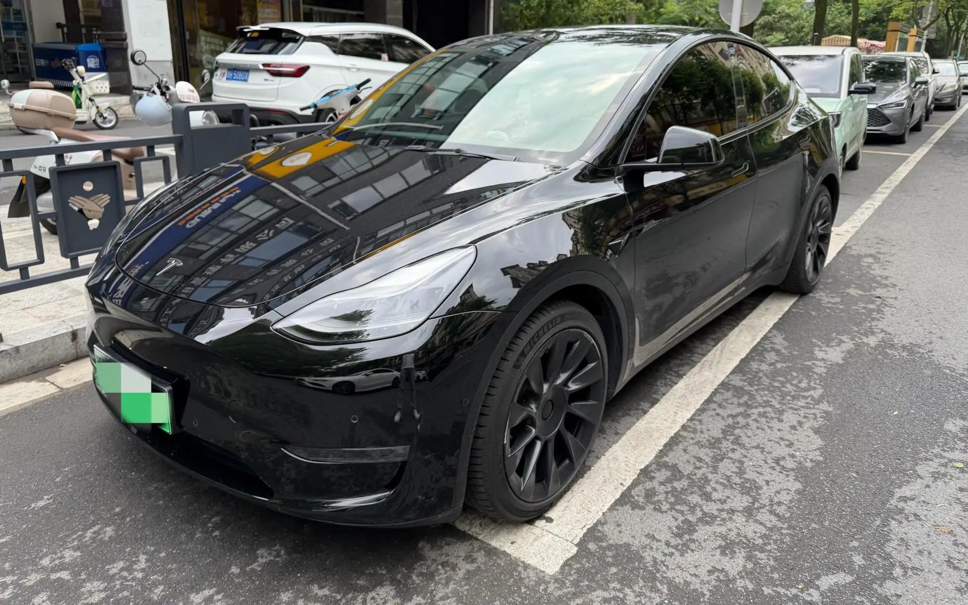 Model Y 2021 Standard Endurance Rear Drive Edition