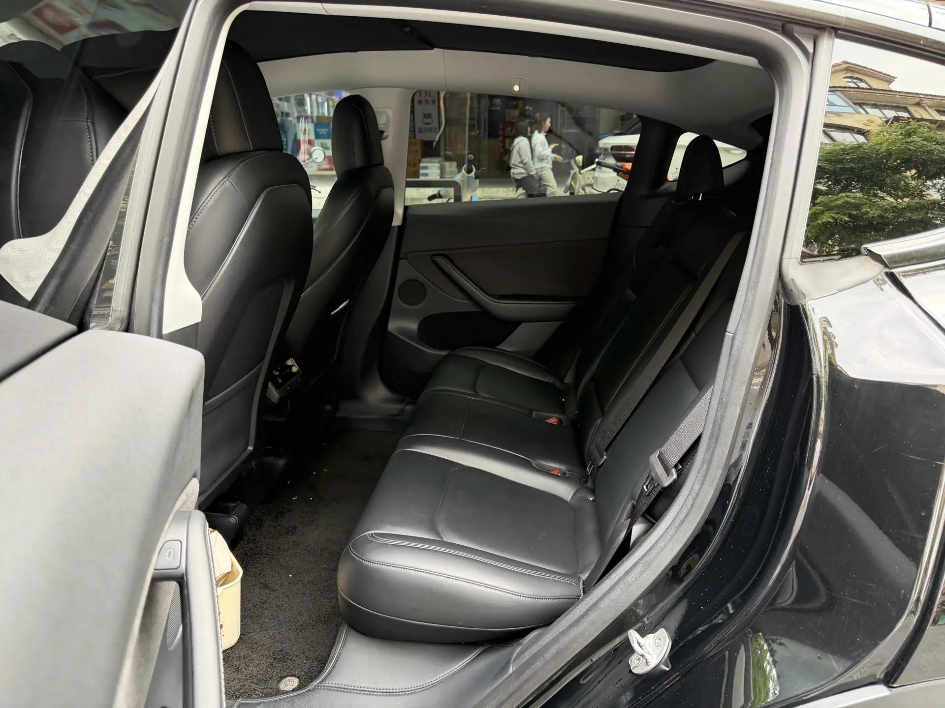 Model Y 2021 Standard Endurance Rear Drive Edition 10