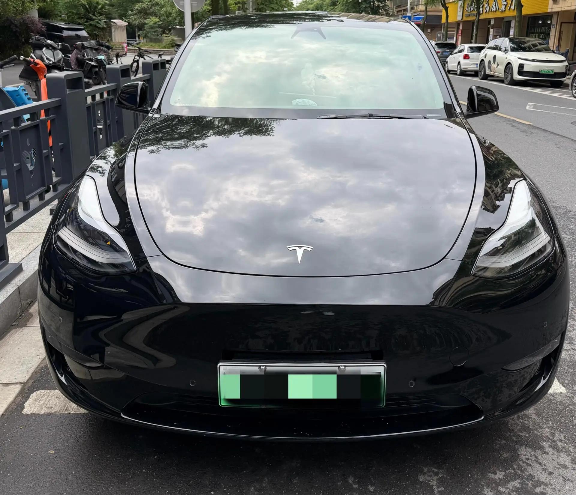 Model Y 2021 Standard Endurance Rear Drive Edition 2