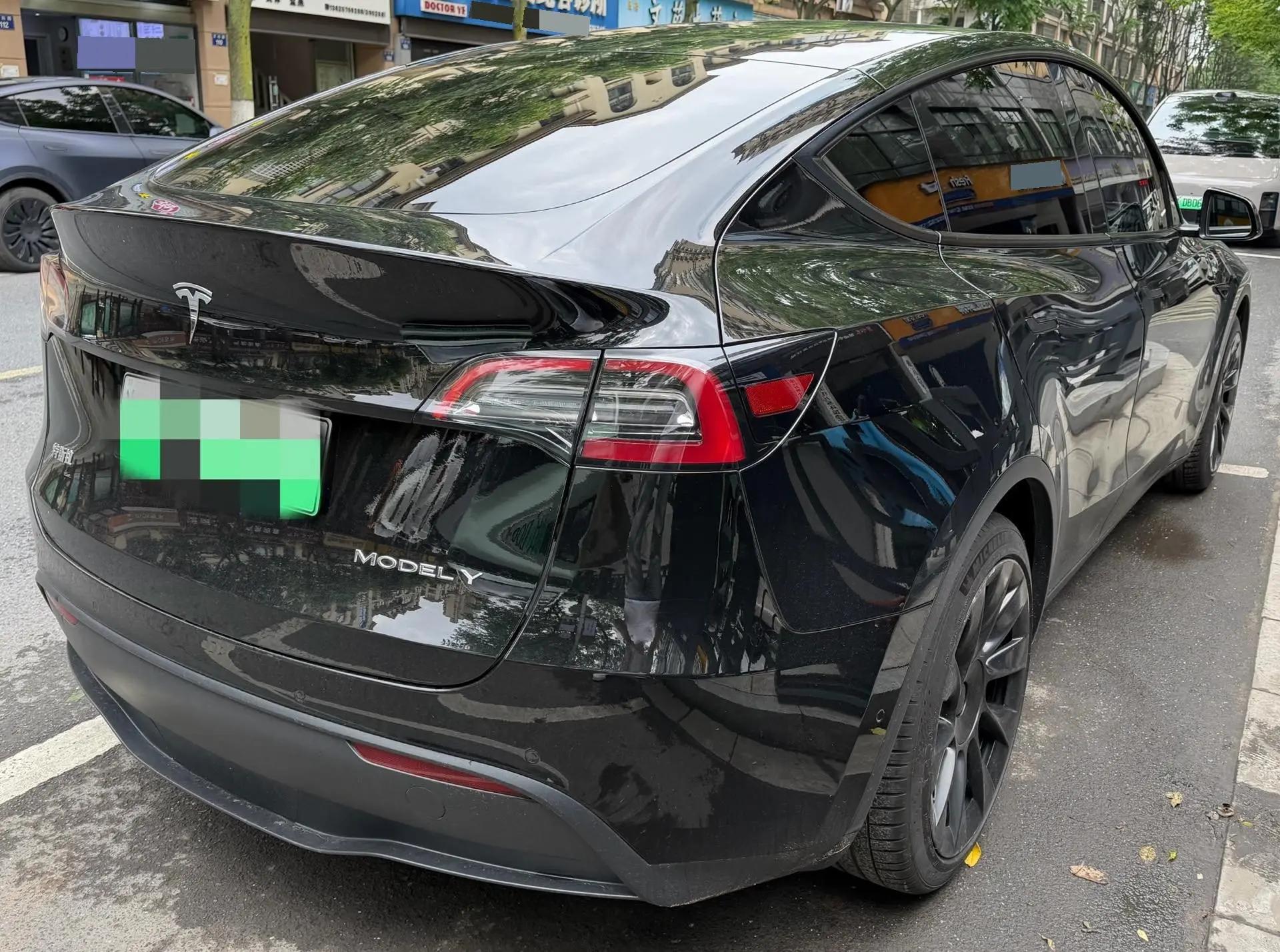 Model Y 2021 Standard Endurance Rear Drive Edition 4