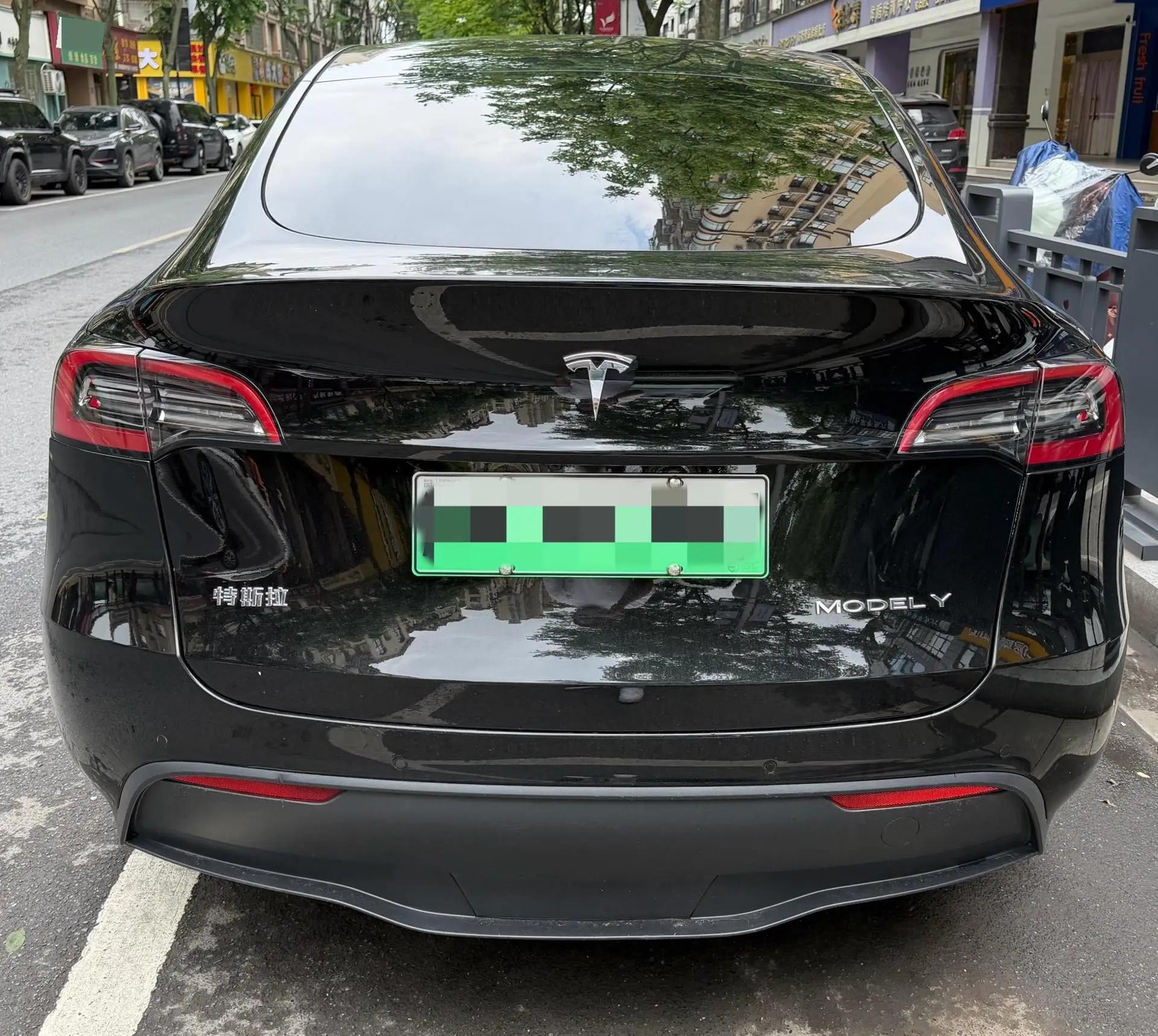 Model Y 2021 Standard Endurance Rear Drive Edition 5