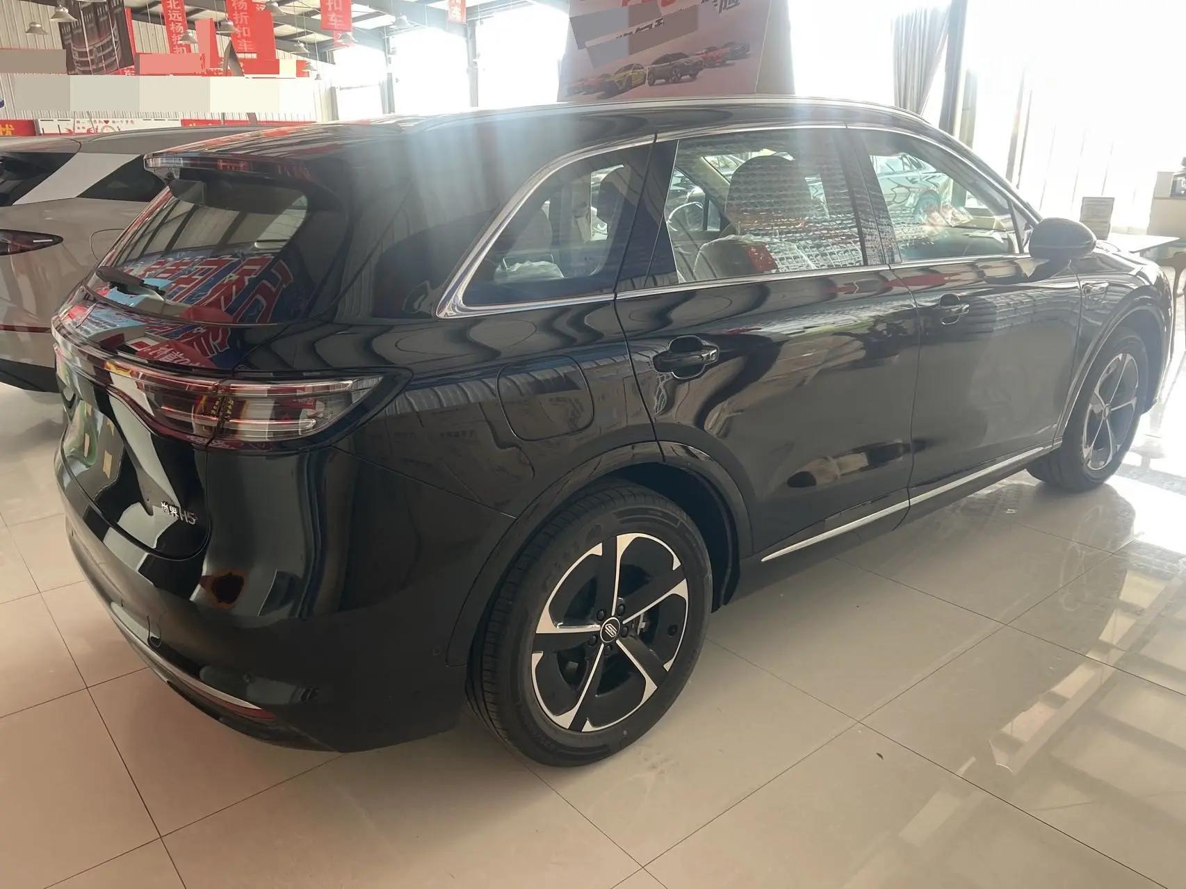 Shangjie H5 2025 Model Pure Electric Max 4