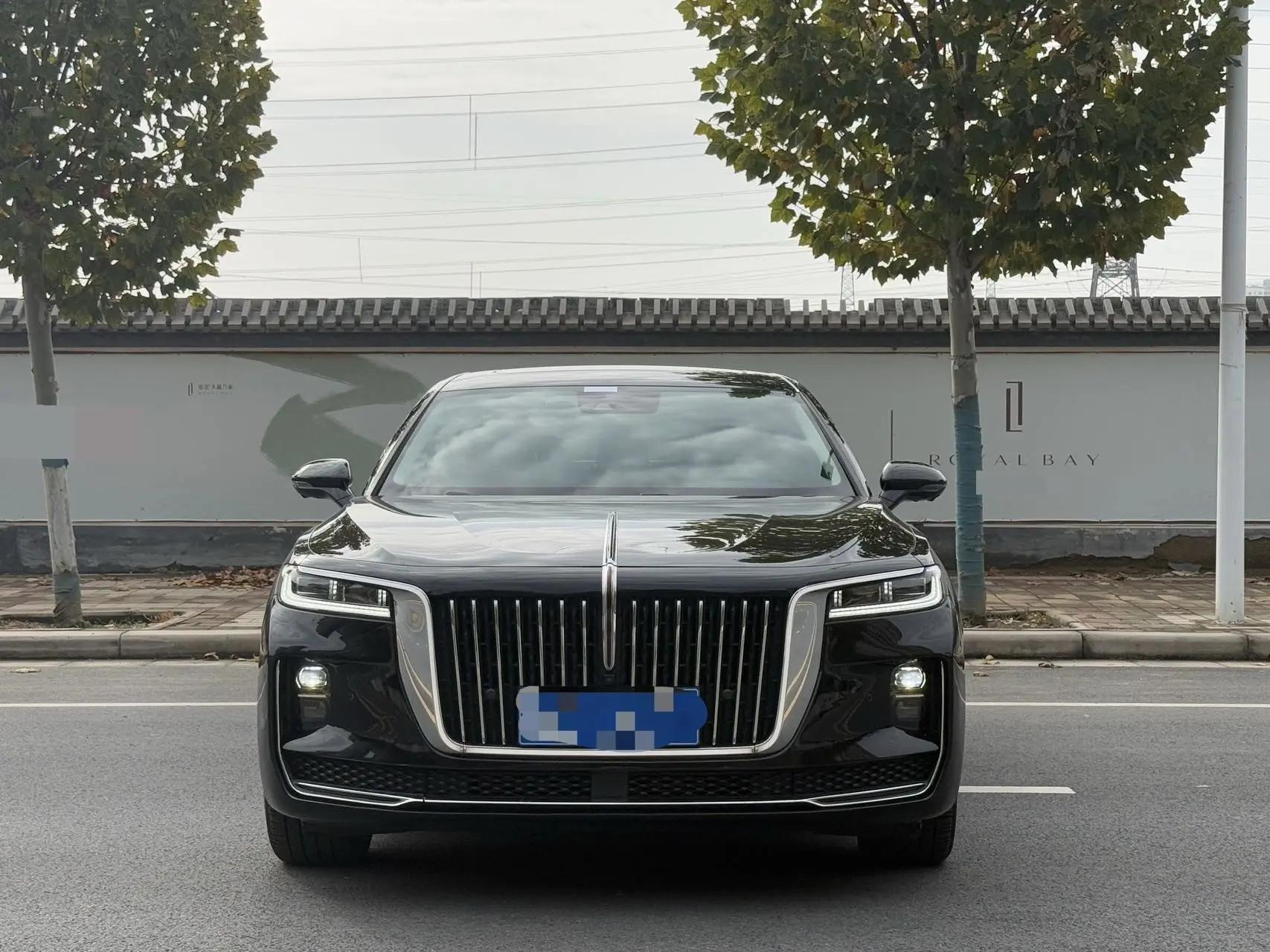 HongQi H9 2020 2.0T Zhilian Qichang Edition 2