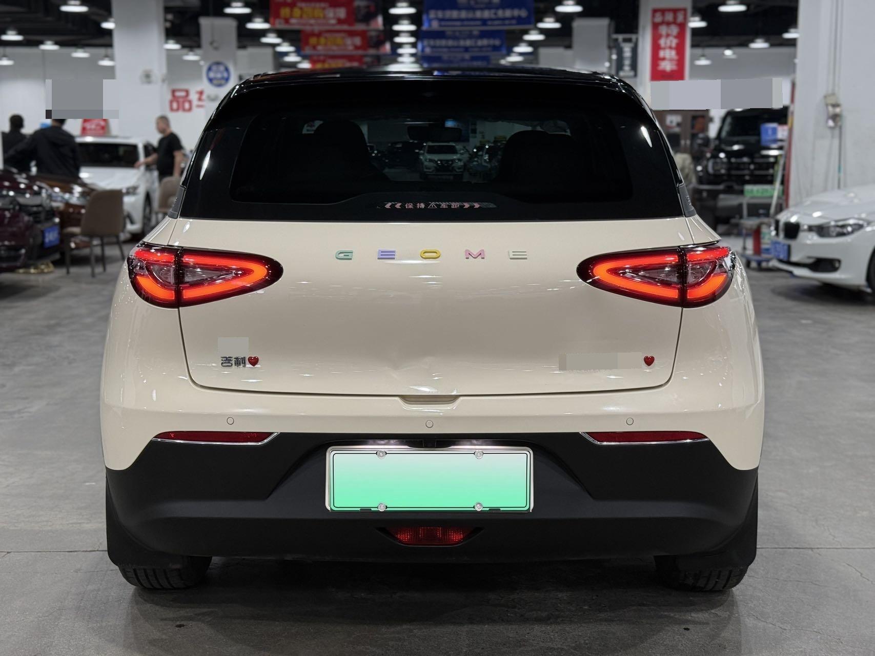 Star Wish 2025 310km Youth Edition 6
