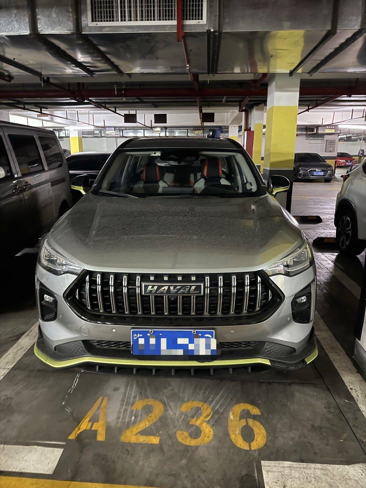 Haval Red Rabbit 2021 Excitation Edition 1.5T Platinum Rabbit 2