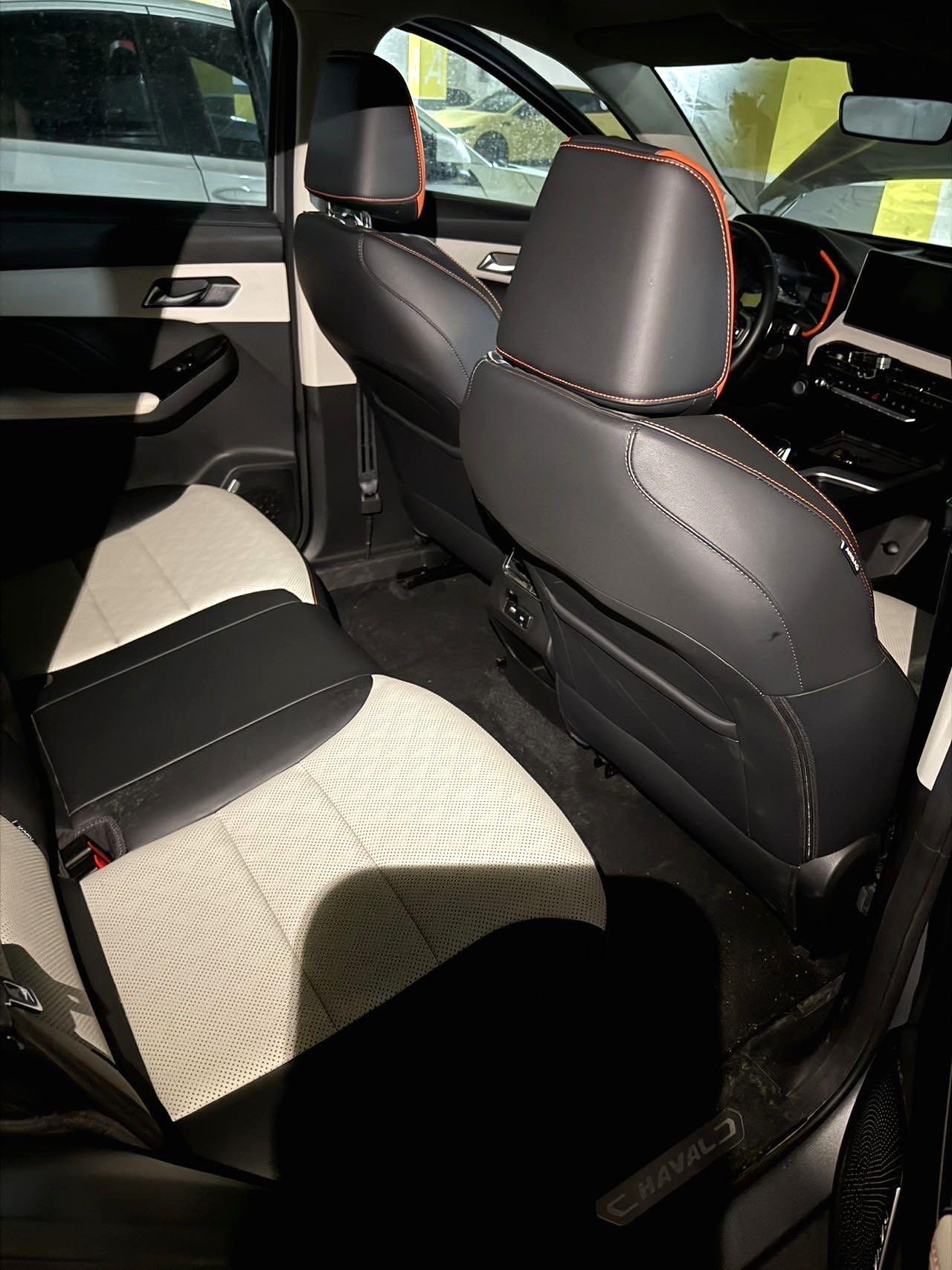 Haval Red Rabbit 2021 Excitation Edition 1.5T Platinum Rabbit 3