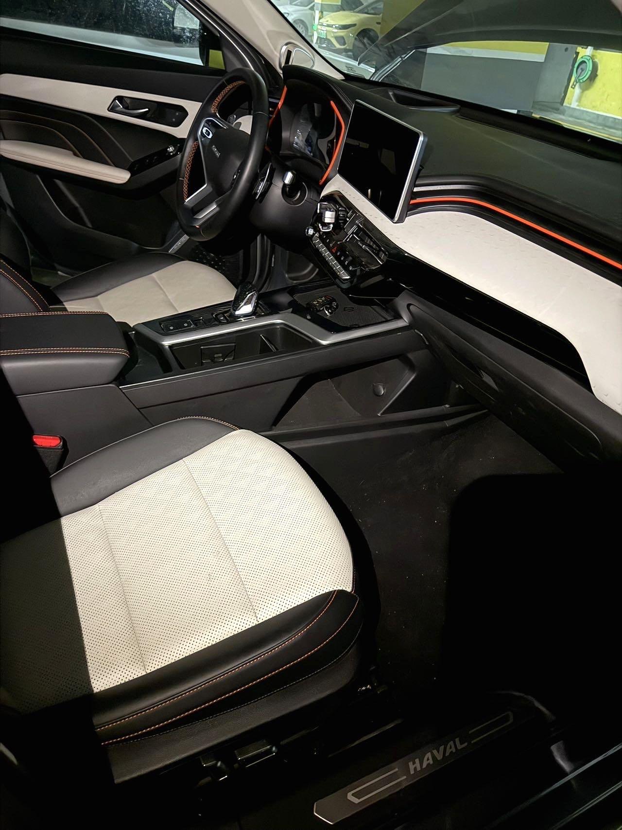 Haval Red Rabbit 2021 Excitation Edition 1.5T Platinum Rabbit 8