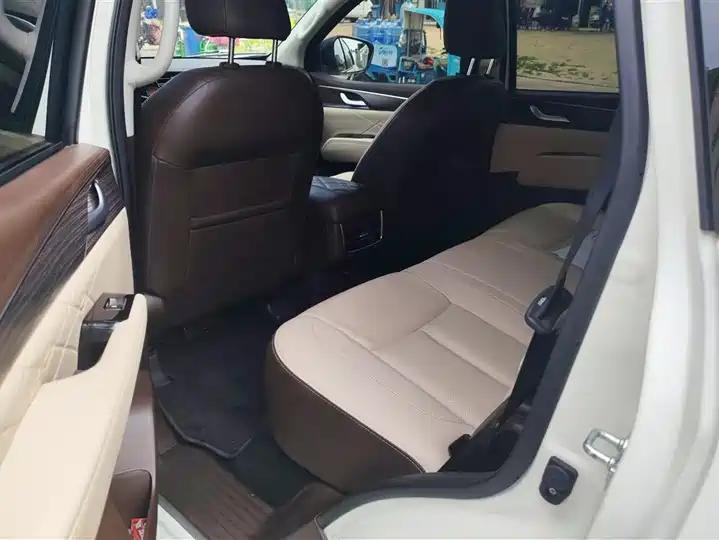 Paladin 2023 2.0T Gasoline Four-wheel Drive Premium Edition 11