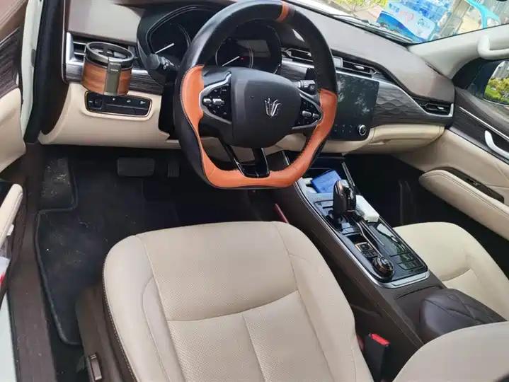 Paladin 2023 2.0T Gasoline Four-wheel Drive Premium Edition 12