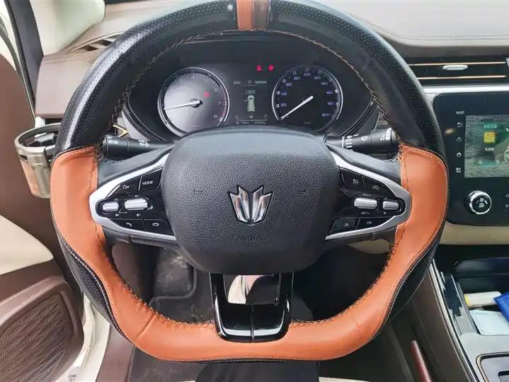 Paladin 2023 2.0T Gasoline Four-wheel Drive Premium Edition 15