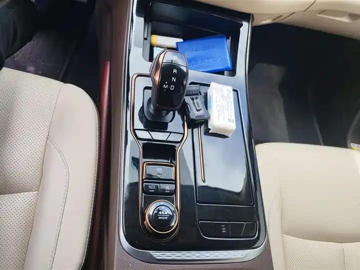 Paladin 2023 2.0T Gasoline Four-wheel Drive Premium Edition 16