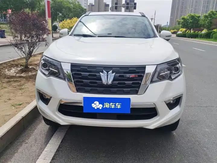 Paladin 2023 2.0T Gasoline Four-wheel Drive Premium Edition 2