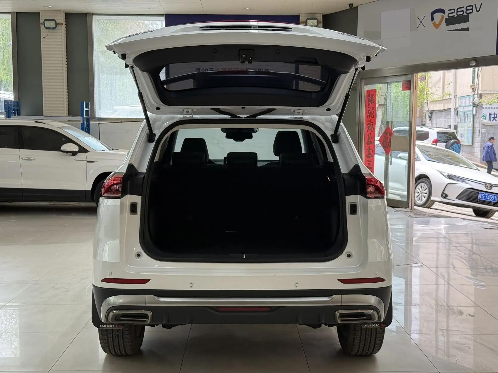 Haval H6 2021 National Tide Edition 1.5T Auto Champion Edition 11