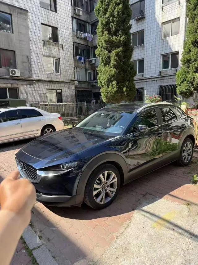 Mazda CX-30 2020 2.0L Automatic Yao Yue Model