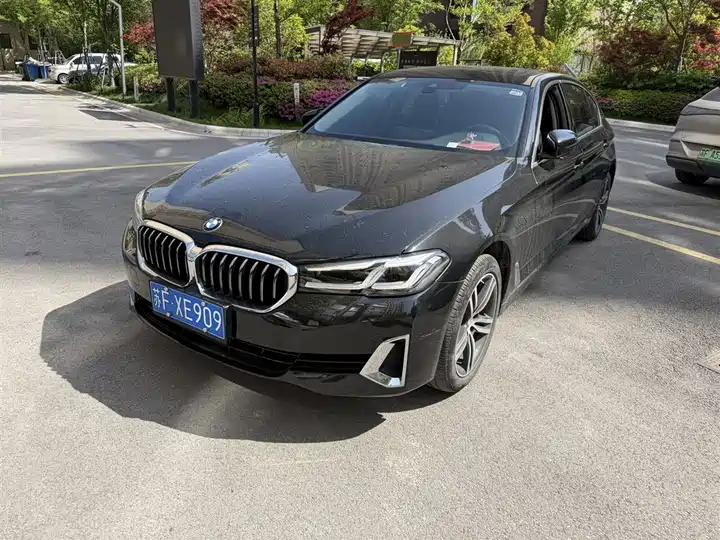 BMW 5 Series 2021 530Li Leading Luxury Suit