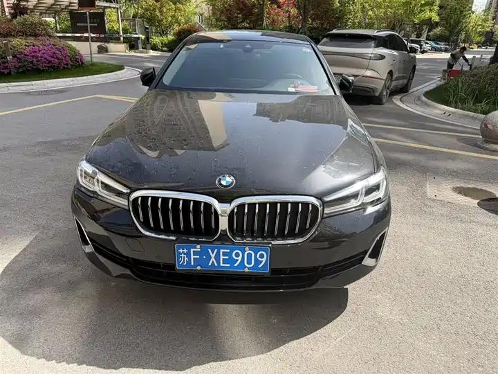 BMW 5 Series 2021 530Li Leading Luxury Suit 2