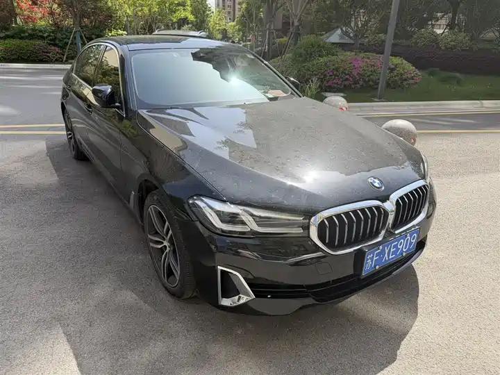 BMW 5 Series 2021 530Li Leading Luxury Suit 3